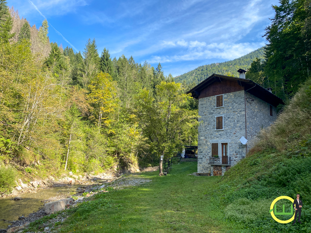 Media numero 42 di RUSTICO IN SASSI IMMERSO NEL BOSCO BELLISSIMO!! (FORNI DI SOPRA)