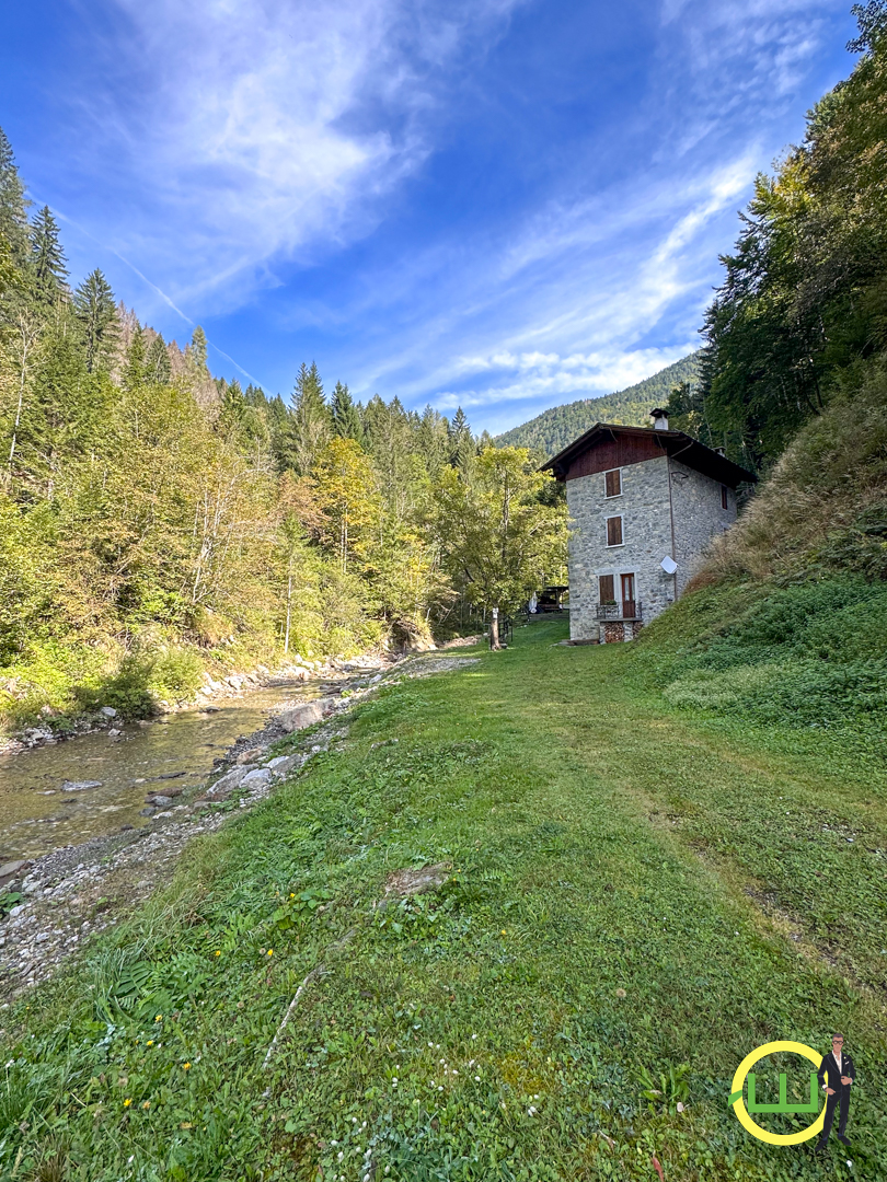 Media numero 36 di RUSTICO IN SASSI IMMERSO NEL BOSCO BELLISSIMO!! (FORNI DI SOPRA)