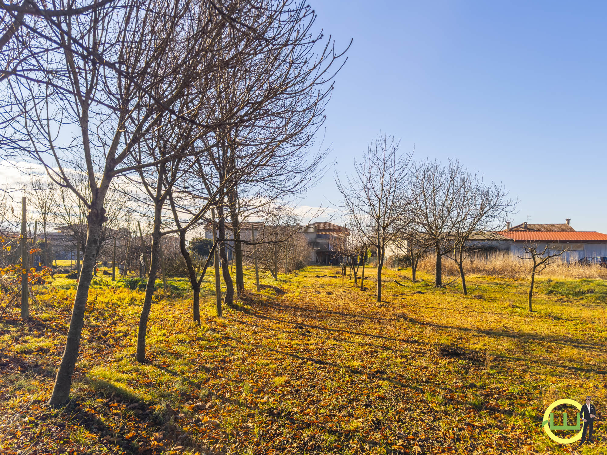 Media numero 47 di LUMINOSA ED AMPIA CASA INDIPENDENTE  A CAMINO AL TAGLIAMENTO