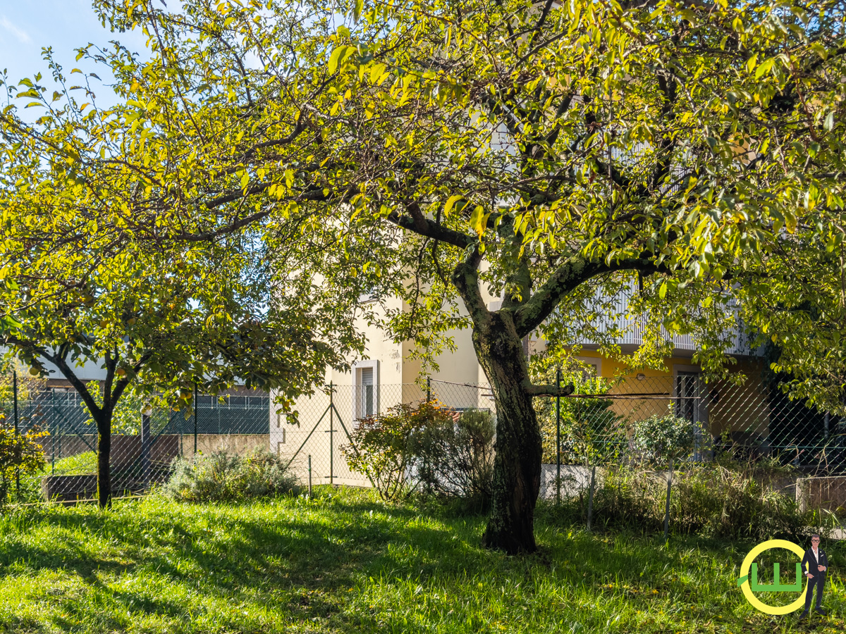 Media numero 40 di SIGNORILE E GENEROSO APPARTAMENTO SUPER TERRAZZATO A CORMONS